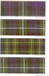 tartans.jpg (46650 bytes)